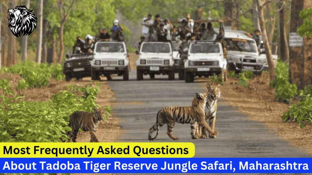 Most Frequently Asked Questions About Tadoba Tiger Reserve Jungle Safari, Maharashtra