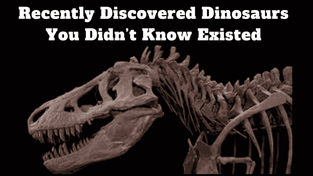 Recently Discovered Dinosaurs You Didn’t Know Existed